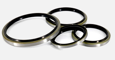Wiper dust seal